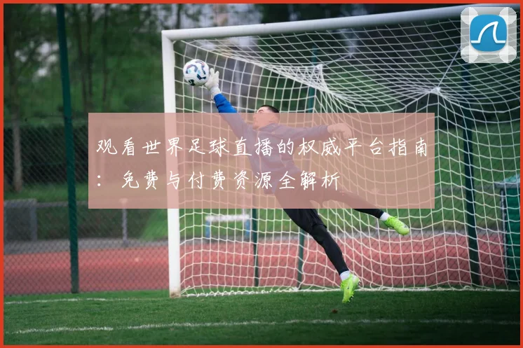 观看世界足球直播的权威平台指南:免费与付费资源全解析