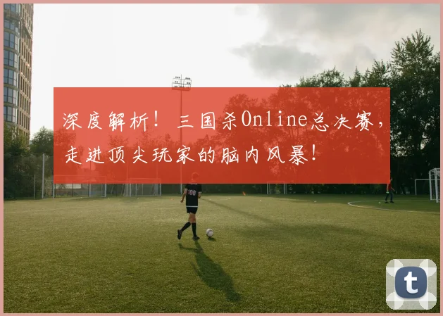 深度解析！三国杀Online总决赛，走进顶尖玩家的脑内风暴！