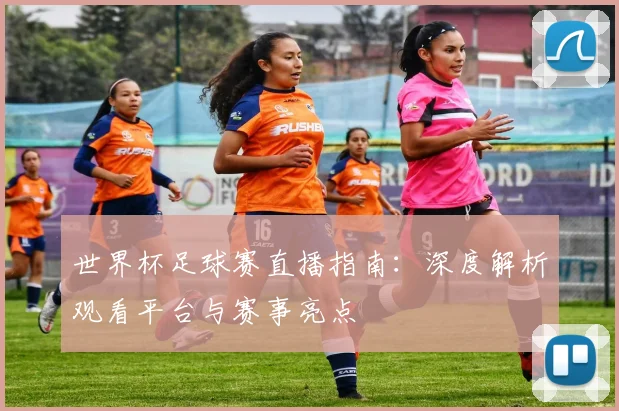 世界杯足球赛直播指南：深度解析观看平台与赛事亮点